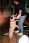 Rico Februar 2000