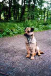 Boris Ende 2000
